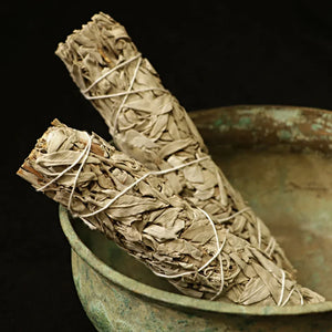 Natural White Sage Smudge Stick