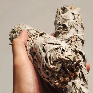 Natural White Sage Smudge Stick