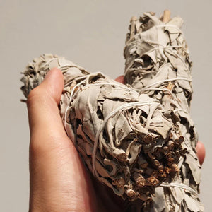 Natural White Sage Smudge Stick