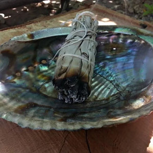 Natural White Sage Smudge Stick
