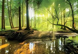 Finding Balance: The Art of Work-Life Harmony
