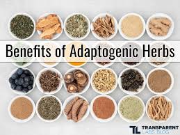 The Magic of Adaptogens: Boosting Resilience Naturally