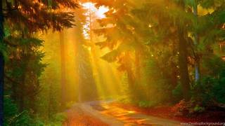 he Healing Power of Nature: Nurturing Mind, Body, and Soul