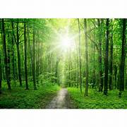 Cultivating Resilience: Navigating Life's Challenges with Strength and Grace