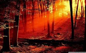 The Power of Positive Thinking: Cultivating Optimism for a Brighter Tomorrow