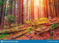 The Journey of Personal Growth: Embracing Change and Transformation