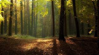 Embracing Imperfection: The Beauty of Being Human